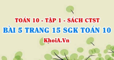 Bài 5 trang 15 SGK Toán 10 tập 1 Chân trời sáng tạo